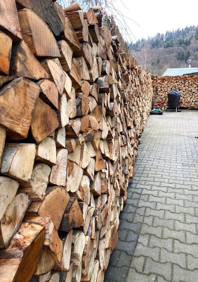 Willa Ewa Krynica-Zdrój Exteriör bild