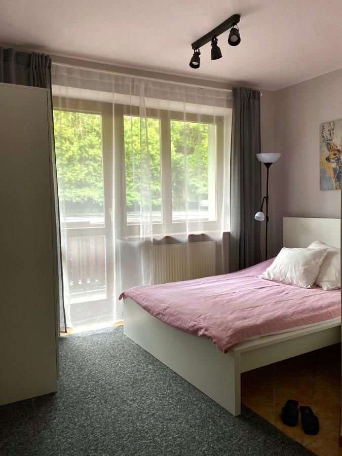 Willa Ewa Krynica-Zdrój Exteriör bild