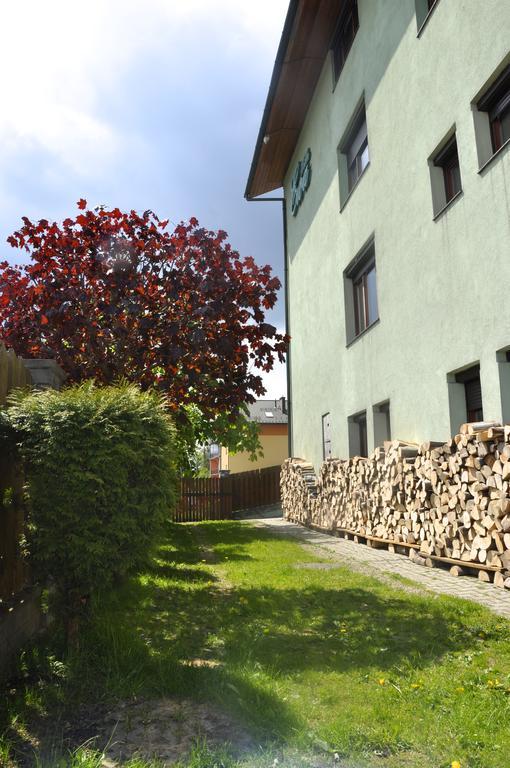 Willa Ewa Krynica-Zdrój Exteriör bild