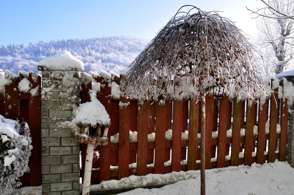 Willa Ewa Krynica-Zdrój Exteriör bild