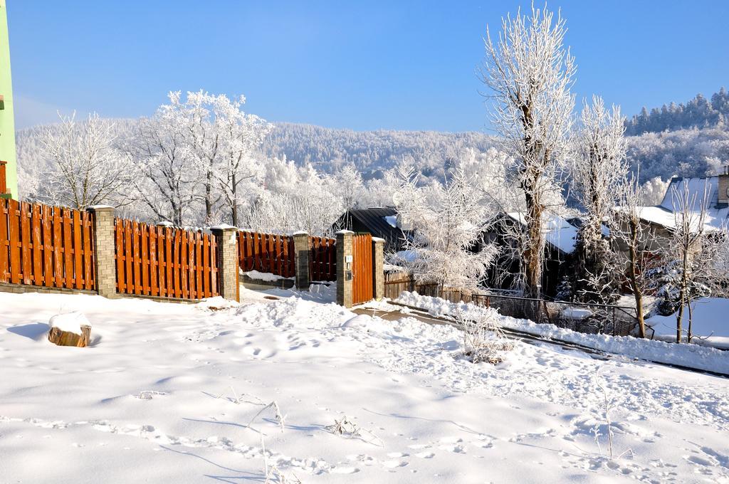 Willa Ewa Krynica-Zdrój Exteriör bild