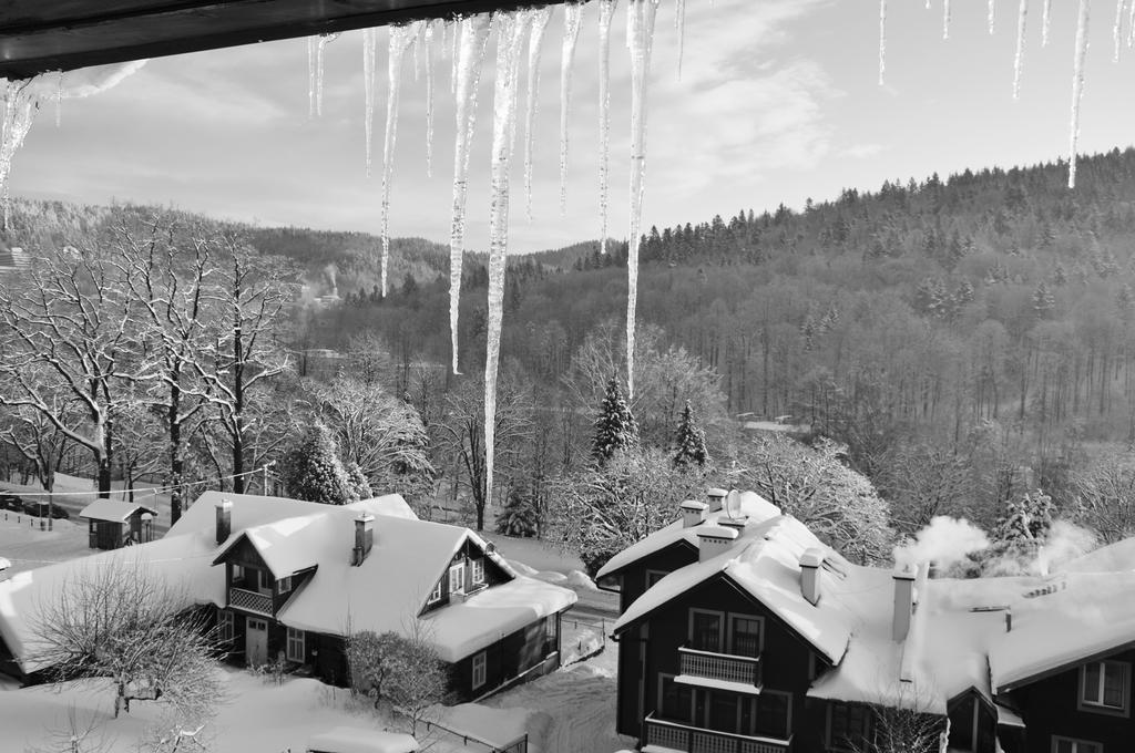 Willa Ewa Krynica-Zdrój Exteriör bild