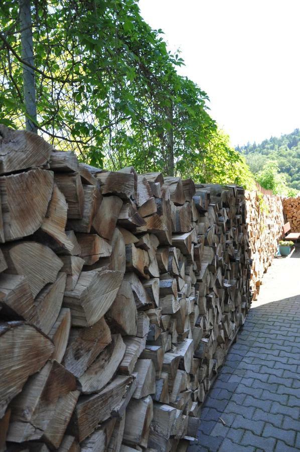 Willa Ewa Krynica-Zdrój Exteriör bild